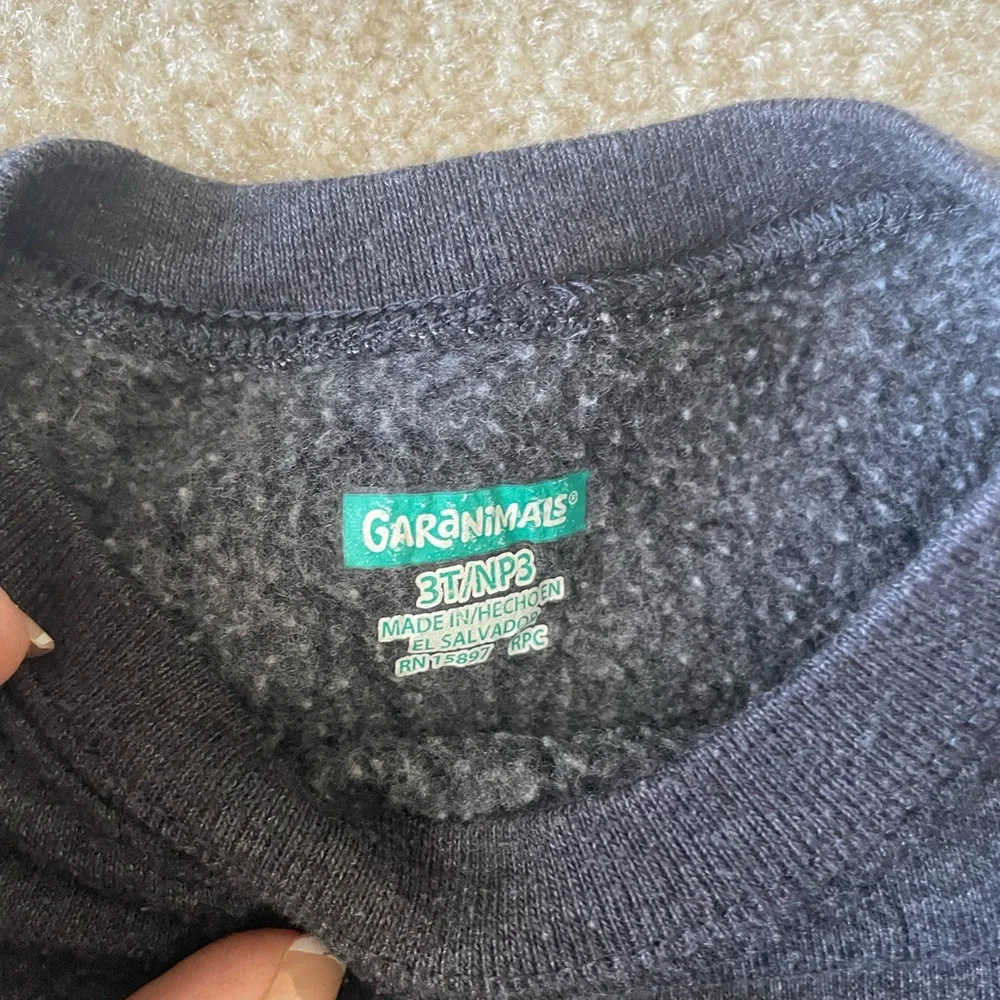 Bundle of‎ 2 boys 3T long sleeve tops. Cat and Jack. Garanimals.